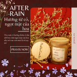 Nến Thơm AFTER RAIN 60ml 