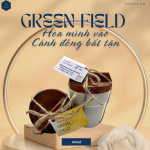 Nến Thơm GREENFIELD 100ml 